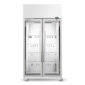 TME1000N A 2 glass door fridge